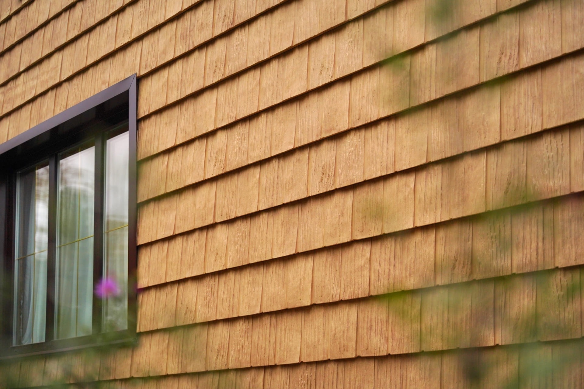 дранка сибирская