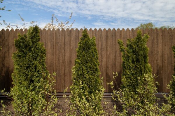 фигурный профнастил в минске купить