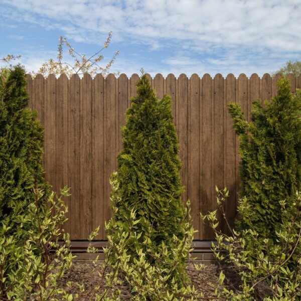 фигурный профнастил в минске купить